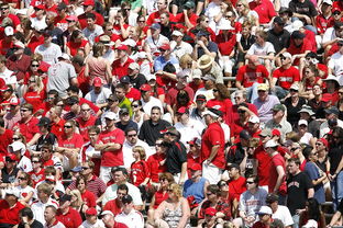 mk体育现在-体育赛事观众满意度影响因素研究，体育赛事关注度